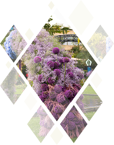 2402-aarsrapport-370x472-10